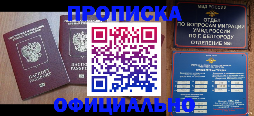 найти адрес прописки в Раменском
